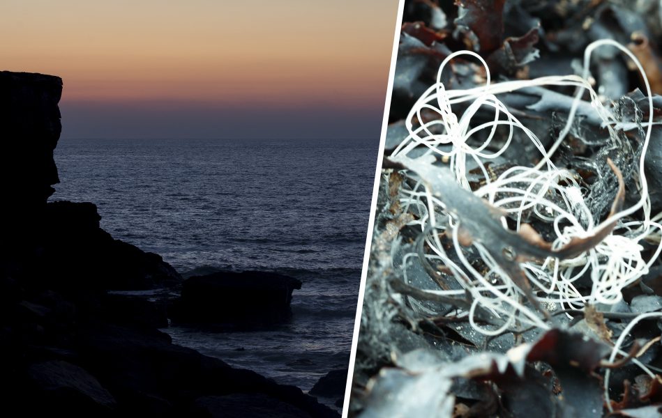 Flera miljoner ton mikroplast flyter runt i Atlanten.