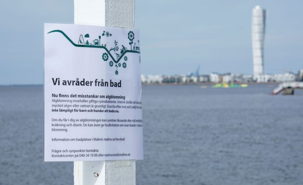 Olämpligt badvatten är ett resultat av övergödningen och algblomningen.