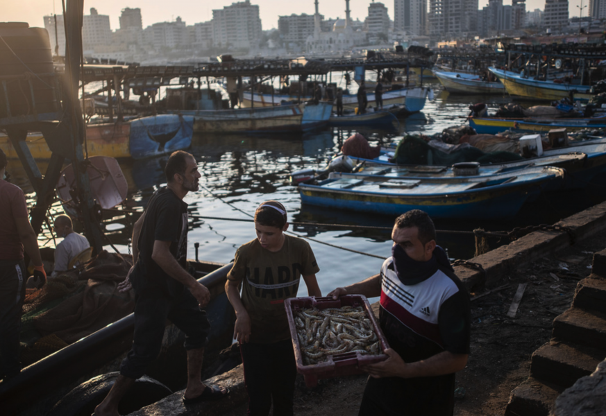Palestinska fiskare vid hamnen i Gaza.