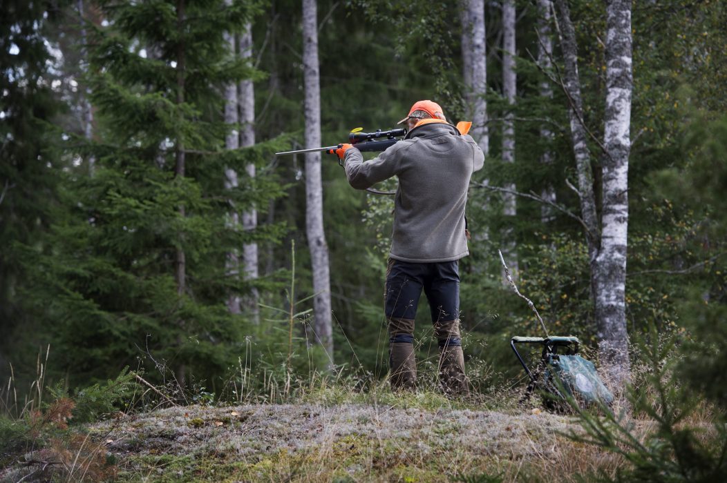 I somras sköt en jägare två ponnyer, som han trodde var vildsvin.