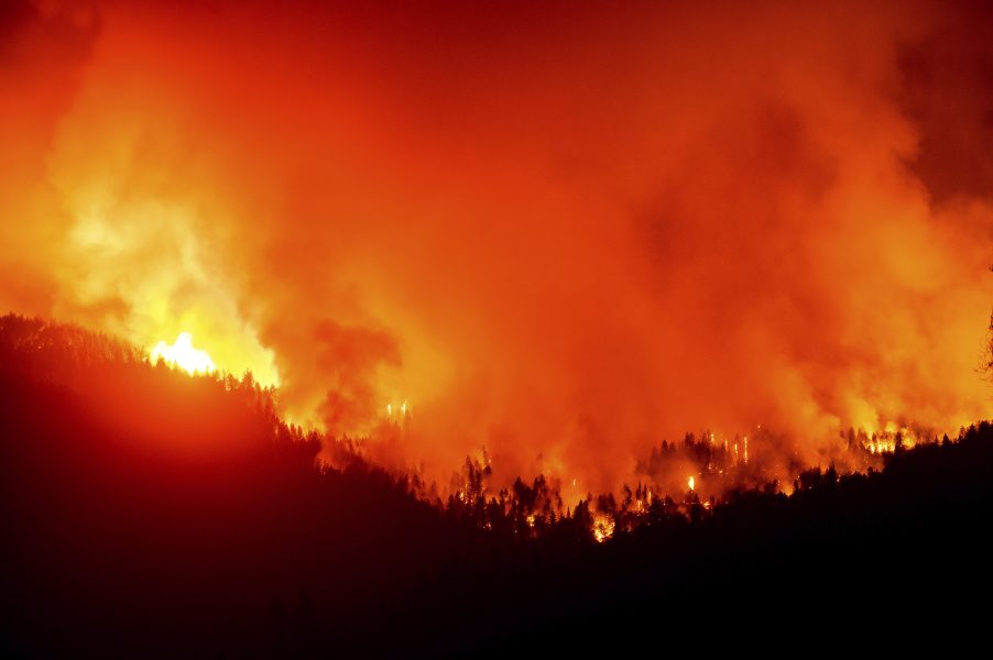 Bränderna i västra USA har härjat nästan två miljoner hektar mark.