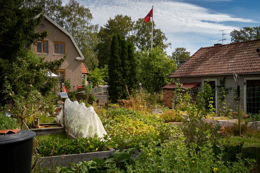 Emmas och Lovisas trädgård ligger i växtzon 3.