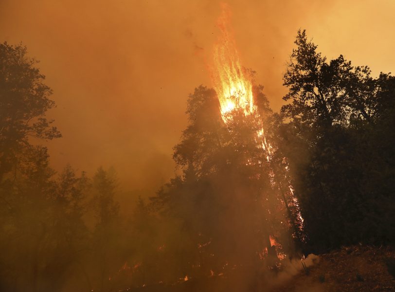 Antalet bränder spås bli fler i år jämfört med rekordåret 2019.