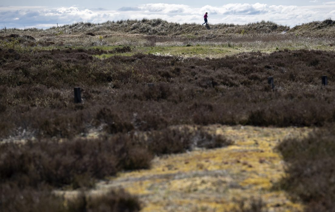 – Det är ju generellt illa ställt med naturen både nationellt och globalt, därför är det viktigt att få folk att förstå värdet av naturen och hur vi bäst interagerar med den, säger Pernilla Borgström, som tagit initiativ till en namninsamling för att bevara Naturum i Falsterbo.