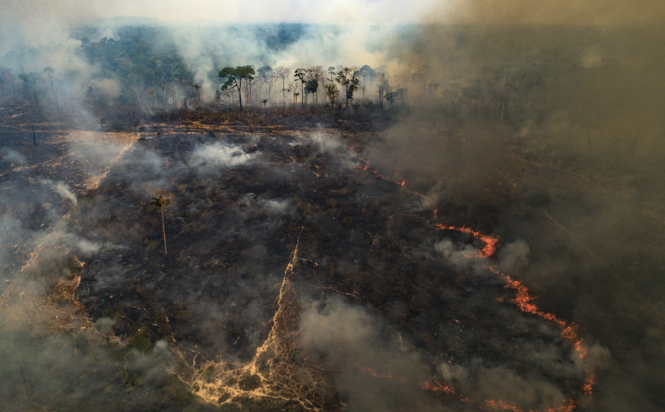 Brand på en mark som nyligen skövlats av jordbrukare i närheten av Novo Progresso i delstaten Pará i Brasilien.