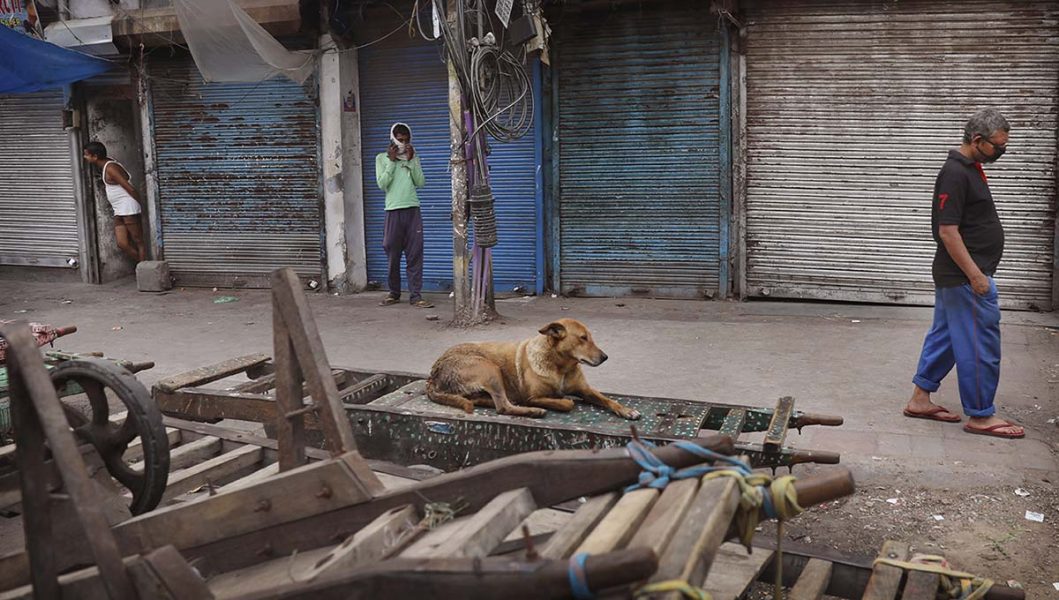 En hund utanför en marknad som stängts ned på grund av det nya coronaviruset, New Delhi, Indien.
