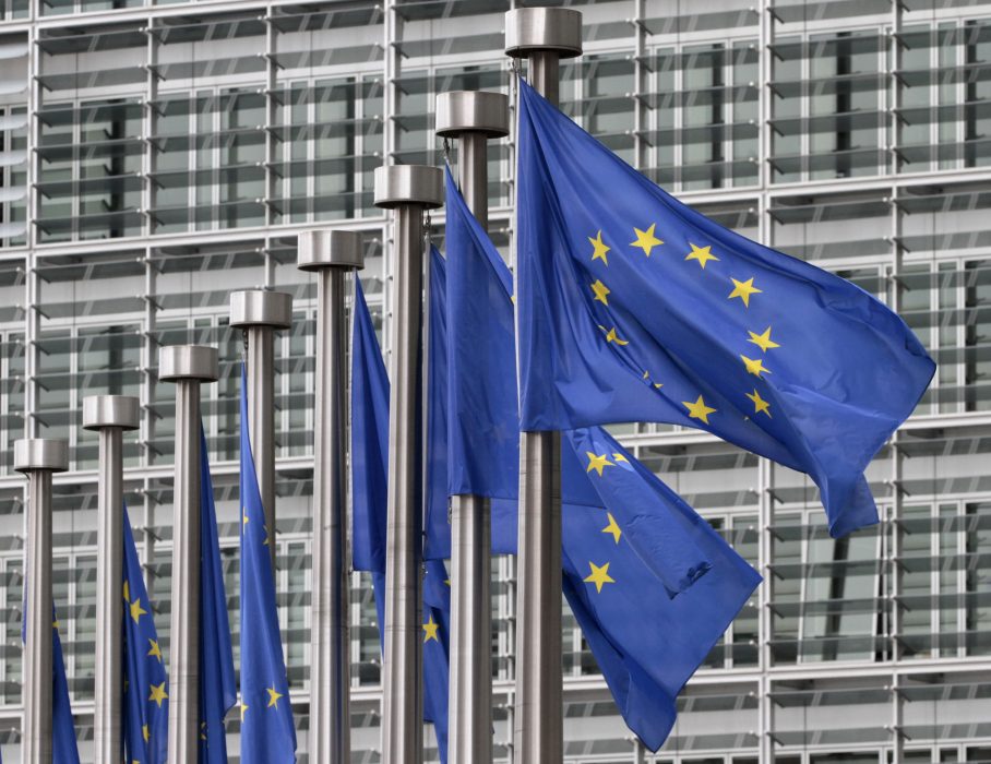 EU-parlamentet har röstat ja till det förslag till ny jordbrukspolitik som presenterades i veckan.