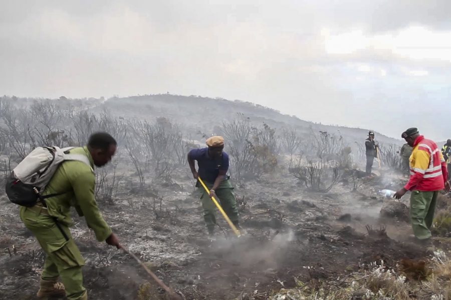 Skogsbranden på Kilimanjaro är nu under kontroll, enligt myndigheter i Tanzania.