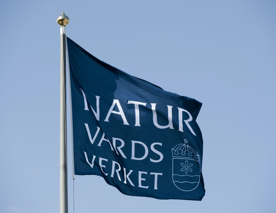 Naturvårdsverkets remissförslag om jakt tar större hänsyn till jägarna än till den biologiska mångfalden, menar Gunilla Lysell.