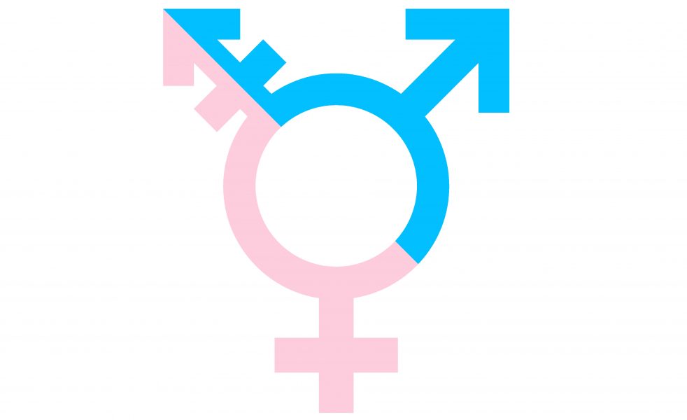 Den mest spridda versionen av transsymbolen skapades 1993 av Holly Boswell.