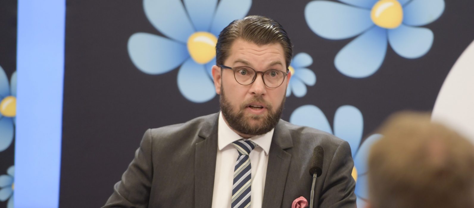 Sverigedemokraternas partiledare Jimmie Åkesson.
