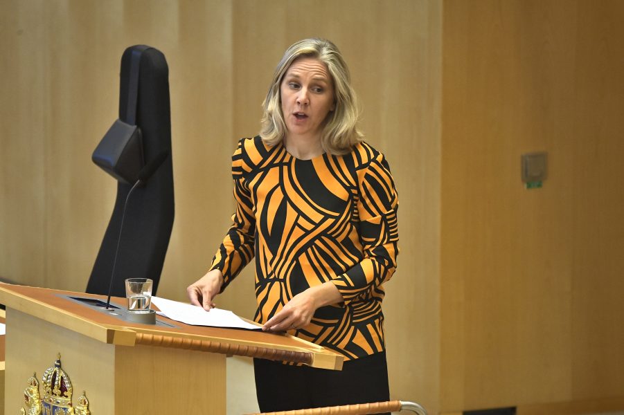 Karolina Skog kan tänka sig att bli nytt språkrör för Miljöpartiet.