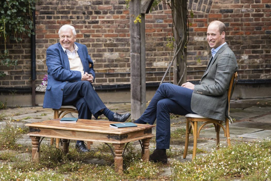 Prins William pratar med BBC-profilen David Attenborough om Earthshot-priset.
