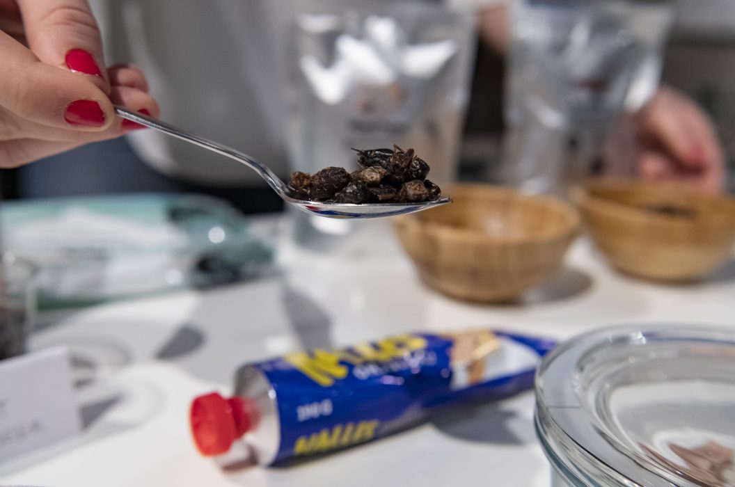 Nu blir det tillåtet att sälja vissa insekter som livsmedel i Sverige.