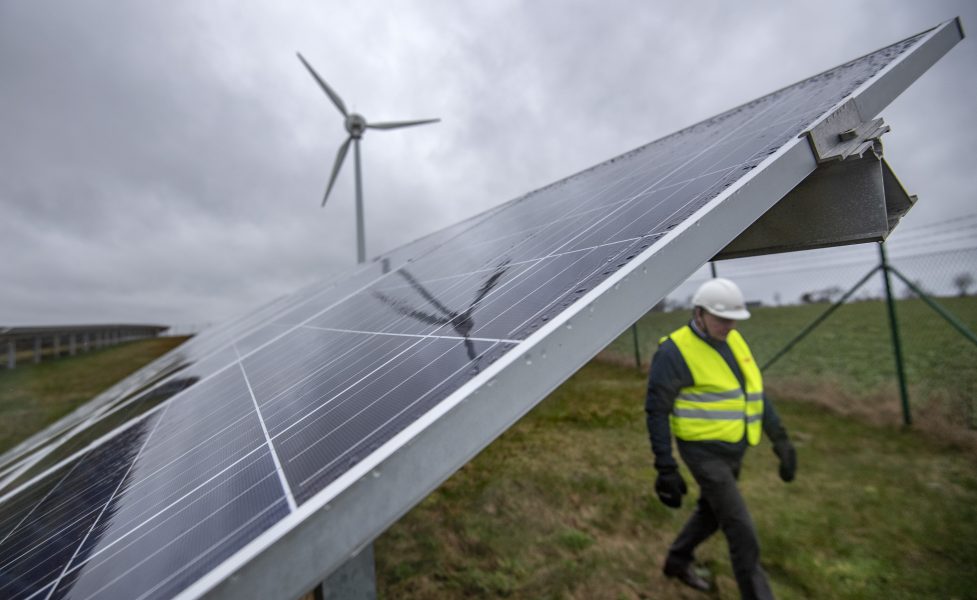 Gröna fonder som satsar på vindkraft och solceller har visat sig vara vinnare på börsen i år.