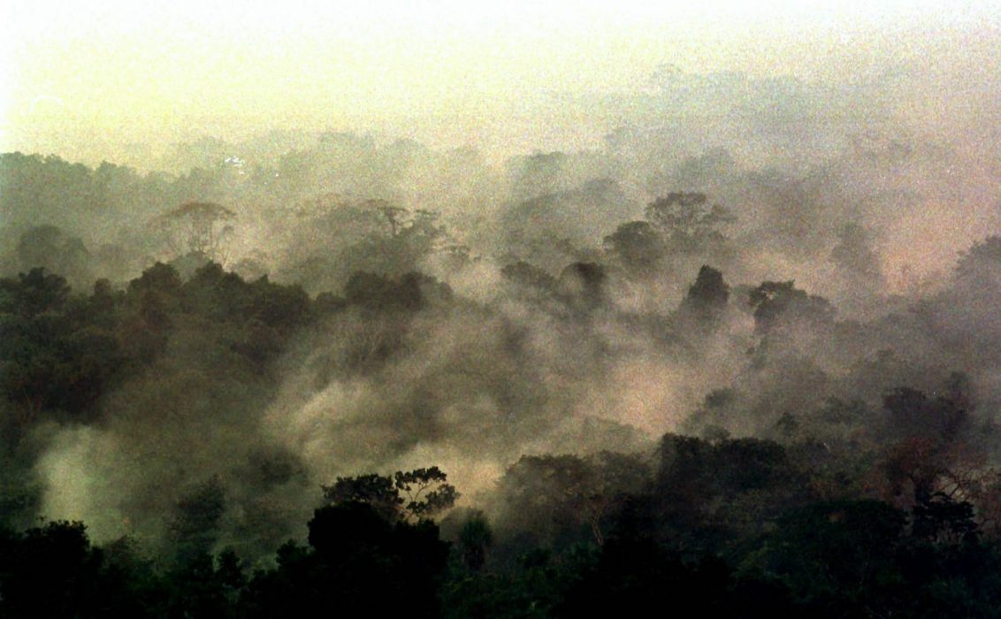 Få svenskar känner till att EU:s handelsavtal med Merocsur-länderna riskerar öka avskogningen i Amazonas.