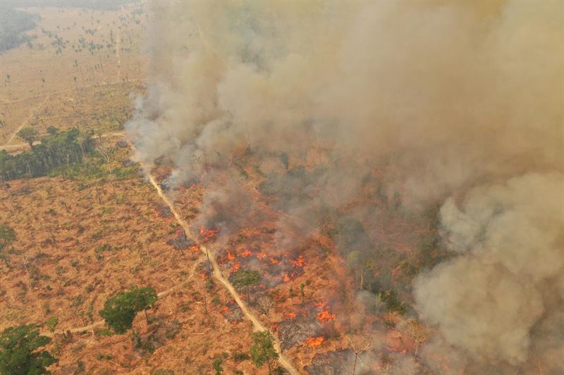 Bränder i Amazonas sker ofta för att skapa mer mark för odling eller betesdjur.
