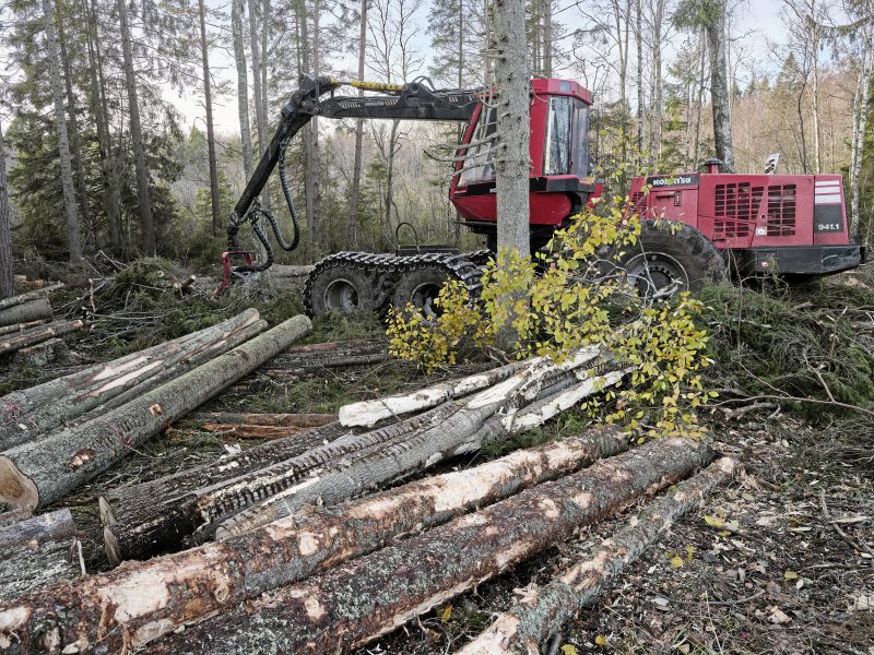 Skogsutredningen ska hitta en balans mellan naturvård och avverkning.