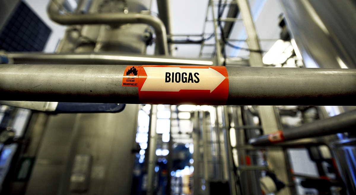 "Det tar många år innan ny skog kan binda upp den koldioxid som hamnat i atmosfären vid tillverkning och förbränning av biodrivmedel från skogsråvara.