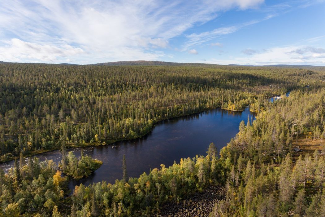 Linaälvens dalgång, en del av de fjällnära skogarna.