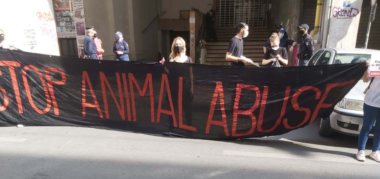 Stoppa utnyttjandet av djur! På torsdagen och fredagen demonstrerade djurrättsaktivister mot Greklans beslut att stötta landets krisande pälsindustri med 3 miljoner euro.