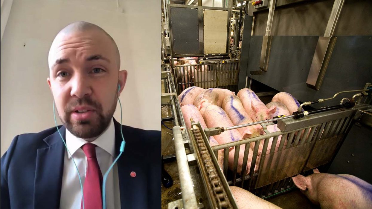 Magnus Manhammar (S) är riksdagsledamot som sitter i Jordbruksutskottet.