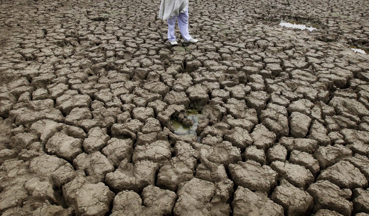 Bilden visar en uttorkad damm i Indien 2012, som vanligtvis skulle ha gett dricksvatten för boskap i byn Kathura, i Haryana, Indien.