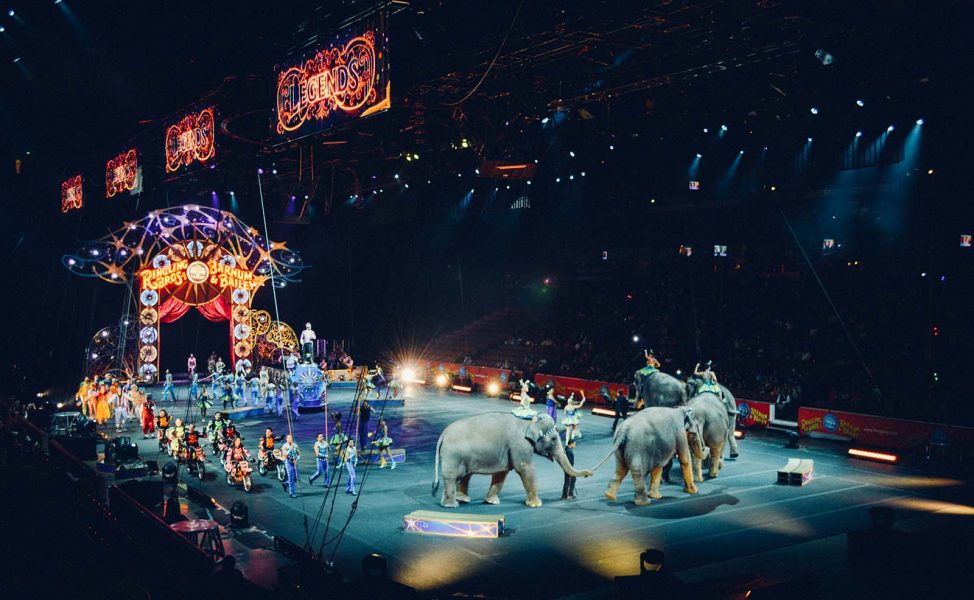 Frankrike ska fasa ut alla vilda djur på landets cirkusar, ett resultat av kampanjer från djurrättsgrupper.