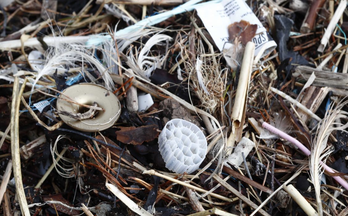 Mikroplast kan orsaka kromosomskador hos havsöringslarver, enligt en ny studie.