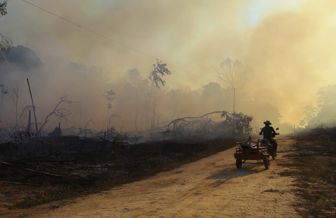 Ett eldhärjat område i Lábrea i brasilianska Amazonas i augusti i år.