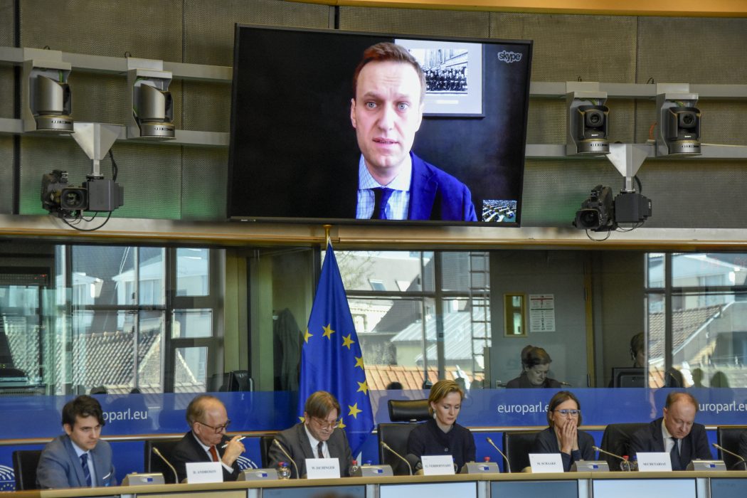 Aleksej Navalnyj vid ett framträdande, via länk, inför EU-parlamentet.