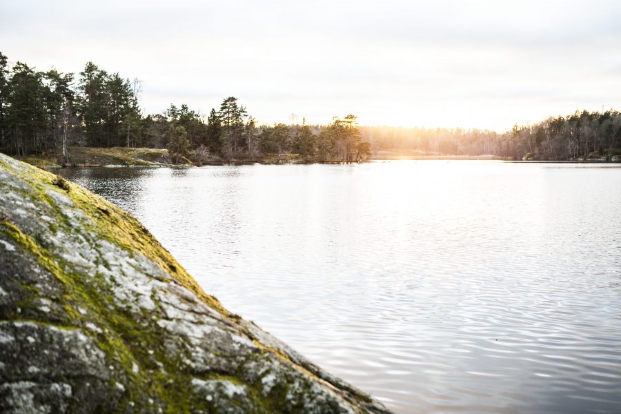 Allt fler svenska sjöar, vattendrag och kuststräckor riskerar att förorenas av läkemedelsrester, enligt en ny rapport.