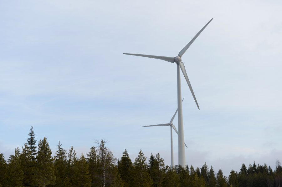En vindkraftspark med flera vindkraftverk på Granberget söder om Umeå.