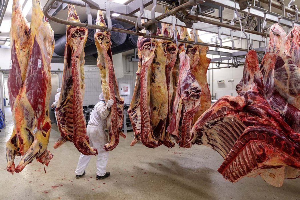 Både Sveriges veterinärförbund och Djurens rätt vill att Sverige inför kameraövervakning på alla slakterier.