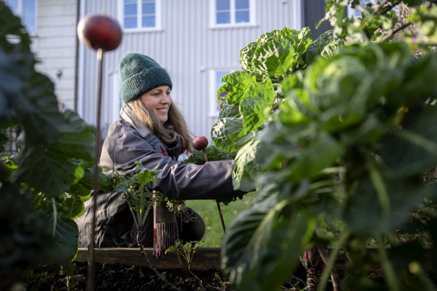 "Om fler odlar skulle det minska matsvinnet i Sverige.