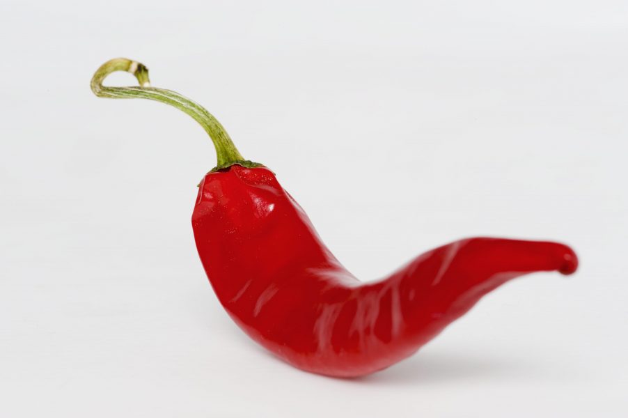 Vanlig chili är av arten capsicum annuum som också paprika kommer ifrån.