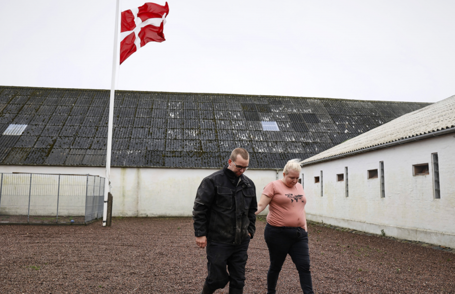 Danska minkuppfödare kompenseras med upp emot 19 miljarder danska kronor.
