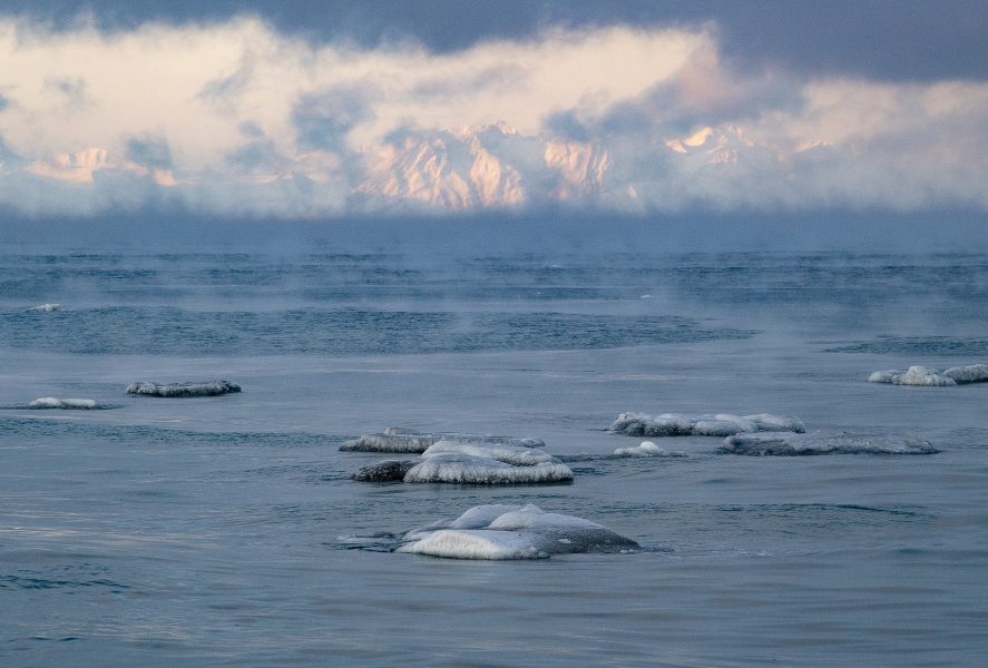 Mikrofibrer som frigörs vid tvätt av syntetkläder har nått Arktis vatten.
