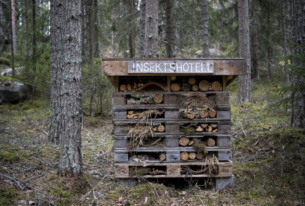 Hotellen växer gärna och blir avancerade.