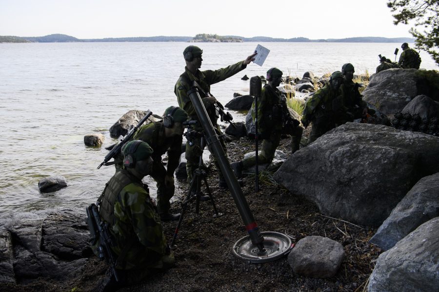 Vems säkerhet försvarar detta amfibieförband? Foto: Henry Montgommery/TT.