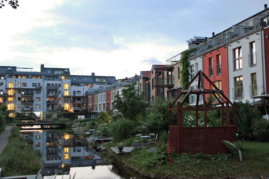 Grönskan i Västra hamnen i Malmö bidrar till flera ekosystemtjänster och har också inspirerat andra städer.