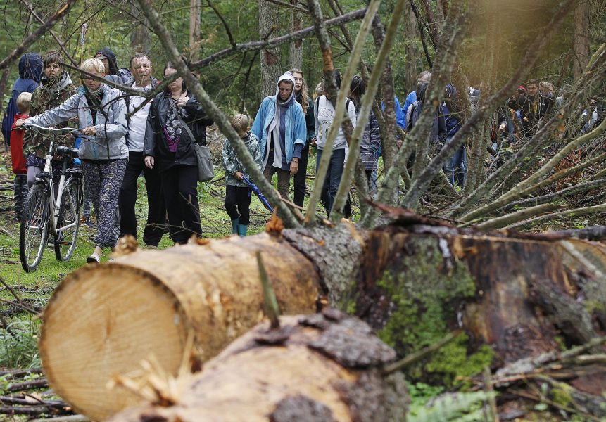 Protest mot att Polen under 2017 började avverka delar av Bialowiezaskogen i Polen, en av Europas sista urskogar.