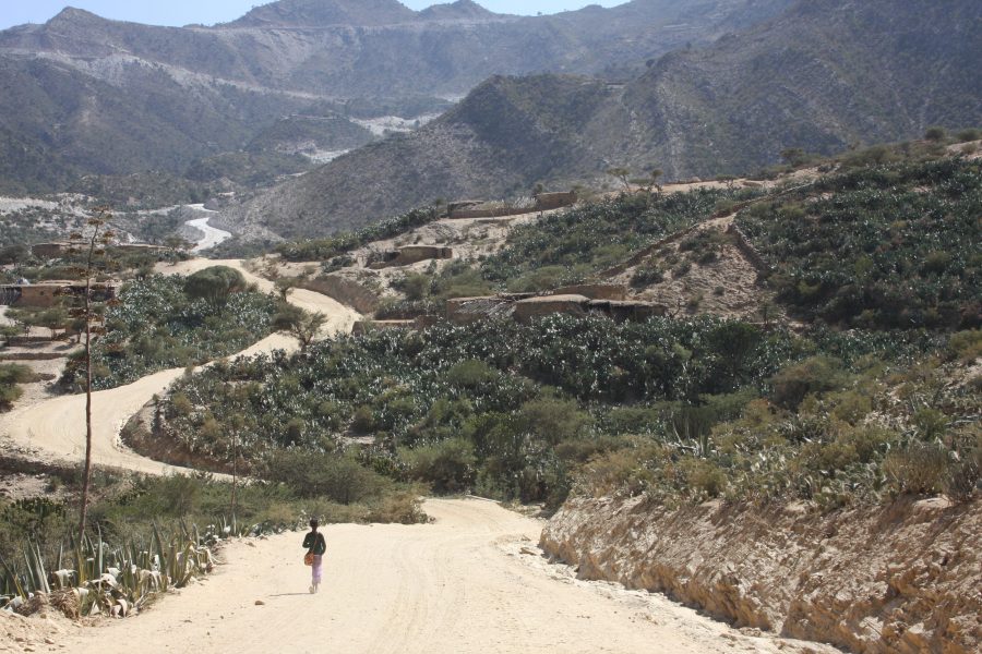 Regionen Tigray ligger längst norrut i Etiopien mot gränsen till Eritrea och har varit drabbat av en konflikt sedan i november förra året.