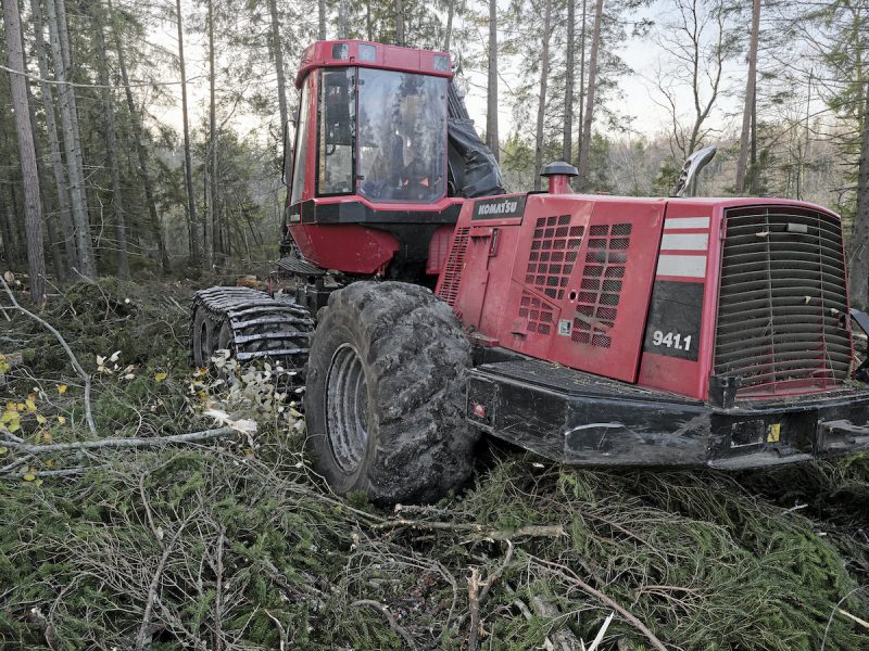 Det svenska skogsbruket behöver bli bättre på att värna den biologiska mångfalden, anser EU:s klimatkommissionär Frans Timmermans.