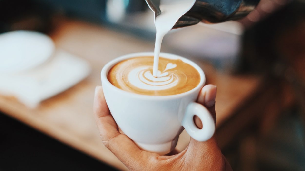 Kan EU förbjuda sojamjölktillverkare från att marknadsföra sina produkter med nåt som skulle kunna misstas för komjölk? Foto: Fahmi Fakhrudin/Unsplash