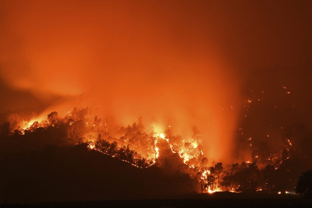 I den största opinionsundersökning om klimatfrågan som gjorts svarar 54 procent att ett utökat skydd av skogar är en av de viktigaste åtgärder som behöver genomföras.