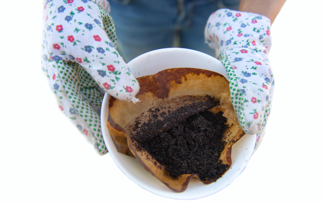 Kaffe är en bra jordförbättrare.