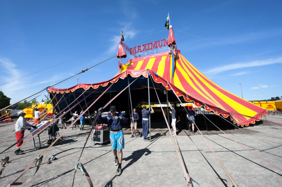 Cirkusarbetare bygger upp Cirkus Maximums jättelika cirkustält i Bro Foto: Fredrik Sandberg/Scanpix.