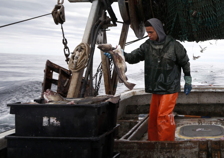 Bottentrålare i Atlanten - en fiskemetod som möter växande kritik och reglering runtom i världen.