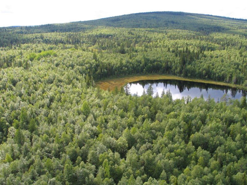 Ett av de senaste naturreservaten i Sverige är Ranesvare naturreservat i Jokkmokk – ett av Sveriges 5 242 naturreservat.